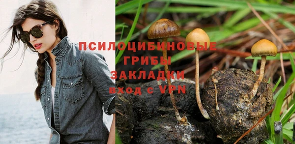 a pvp Алзамай